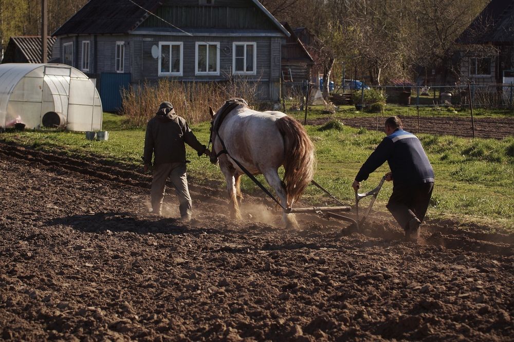 Photograph by Татьяна Шандромайло
