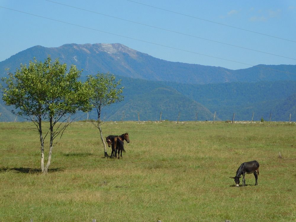 Photograph by Елена Грошева