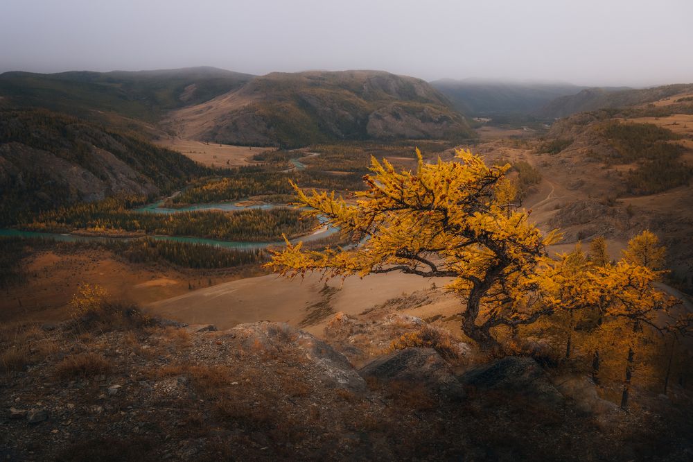 Photograph by Денис Туев