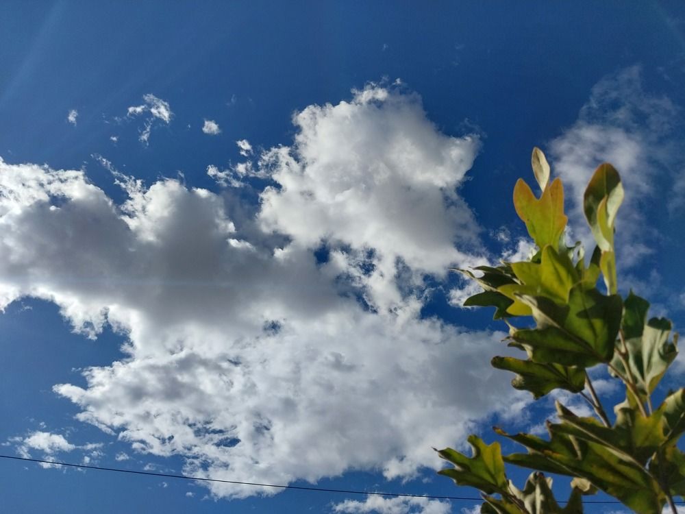 Photograph by Lianna