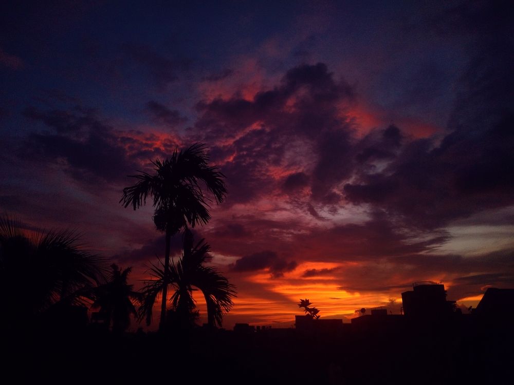 Photograph by Sanchari Nag