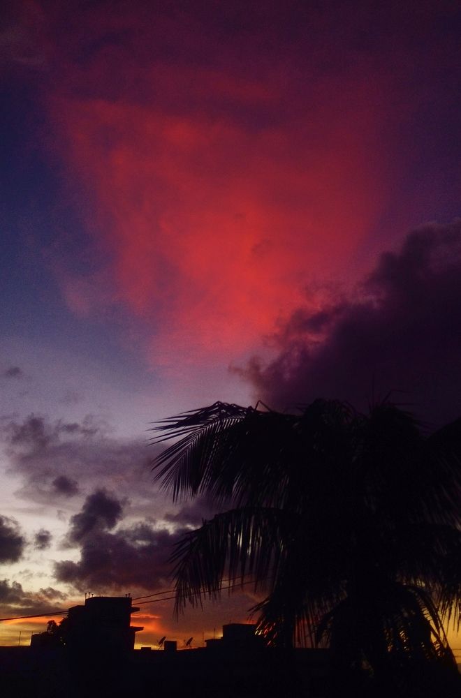 Photograph by Sanchari Nag