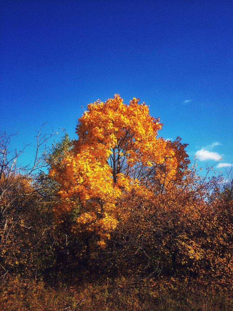 Photograph by Анастасия Игошина