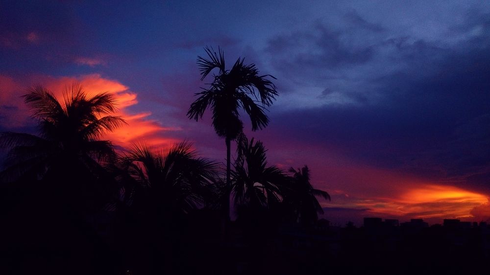 Photograph by Sanchari Nag