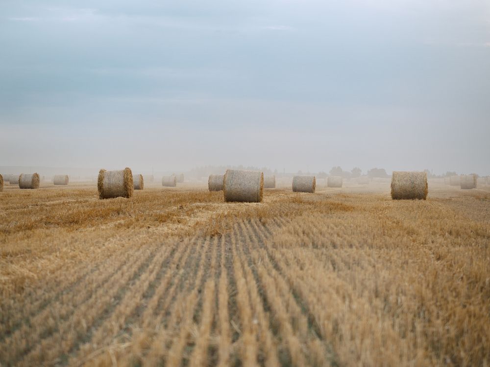 Photograph by Olga Zharkova