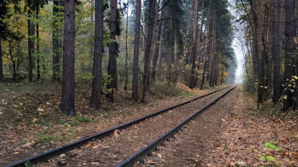 Photograph by Василий Арлашов