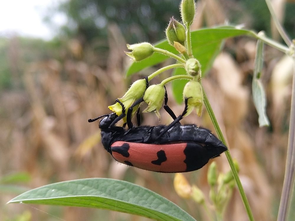 Photograph by sumit sitole