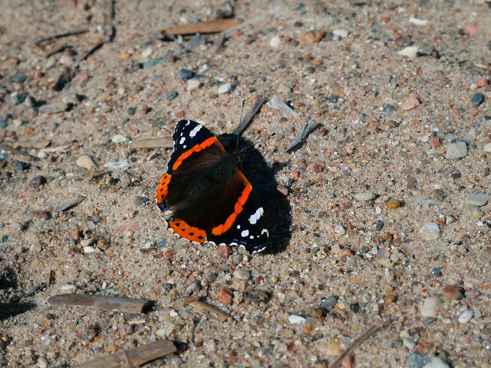 Photograph by Серафима Силина