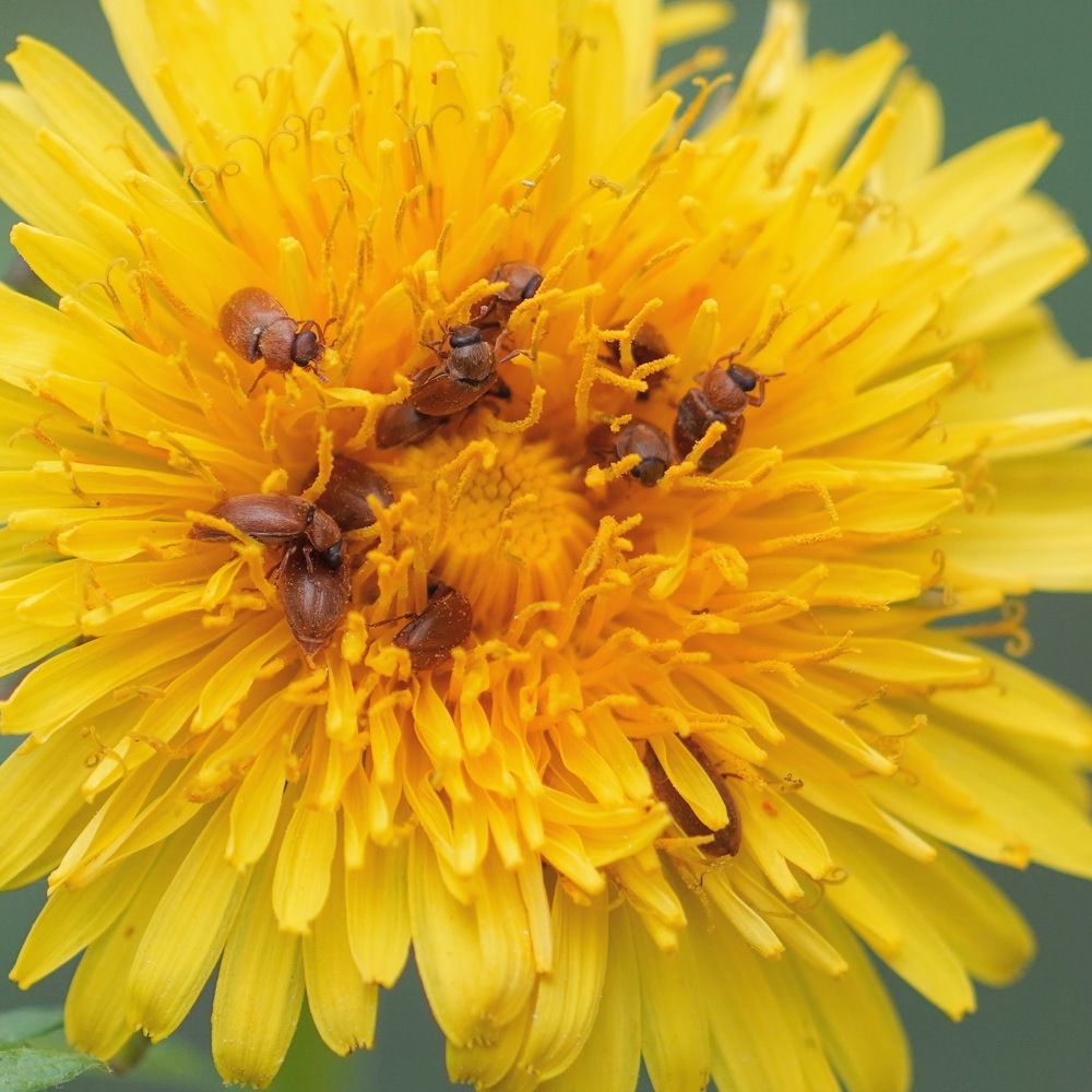 Фотография автора Владимир Хащанский