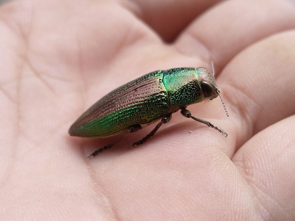 Photograph by sumit sitole