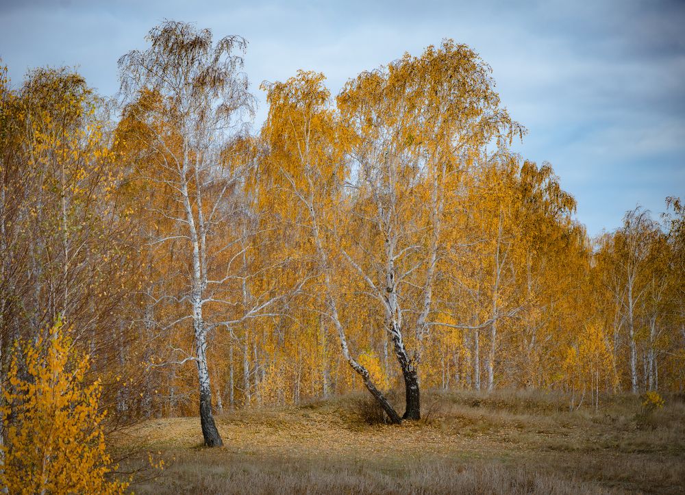 Photograph by Инна Макеева