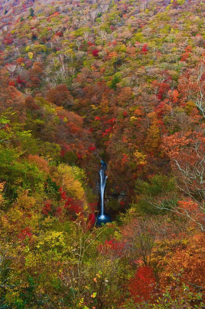 Фотография автора Sen Abhijit