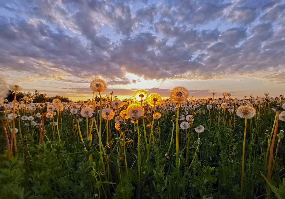 Фотография автора Александр Нагибин