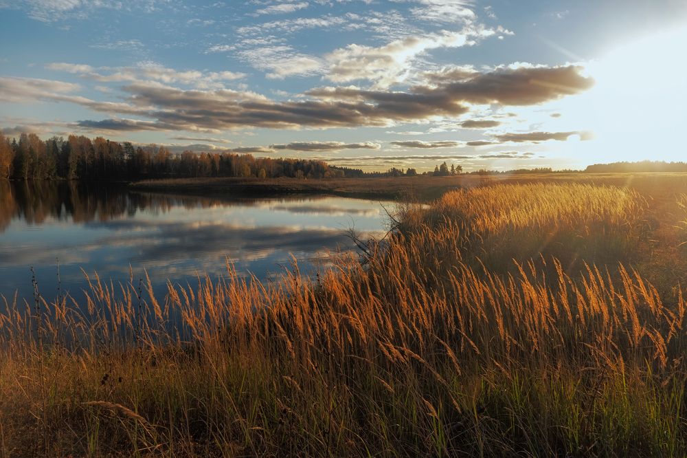 Photograph by Jonny Om