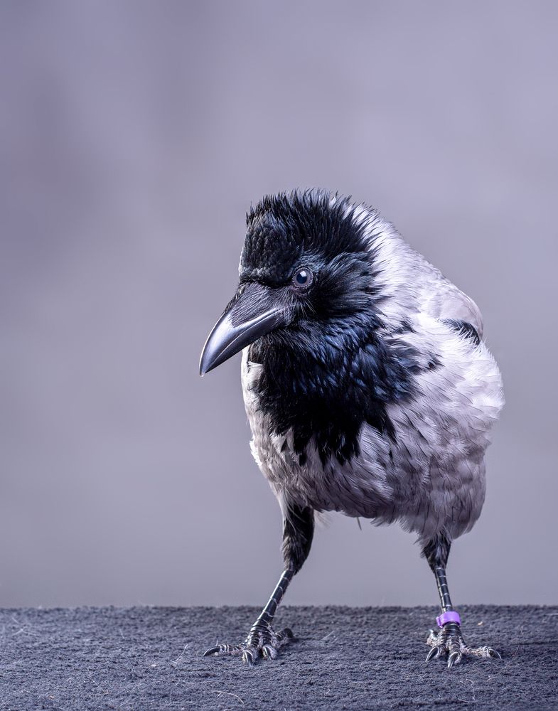 Photograph by наталья залогина