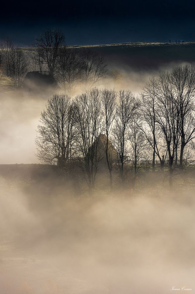 Фотография автора Ioana Crisan