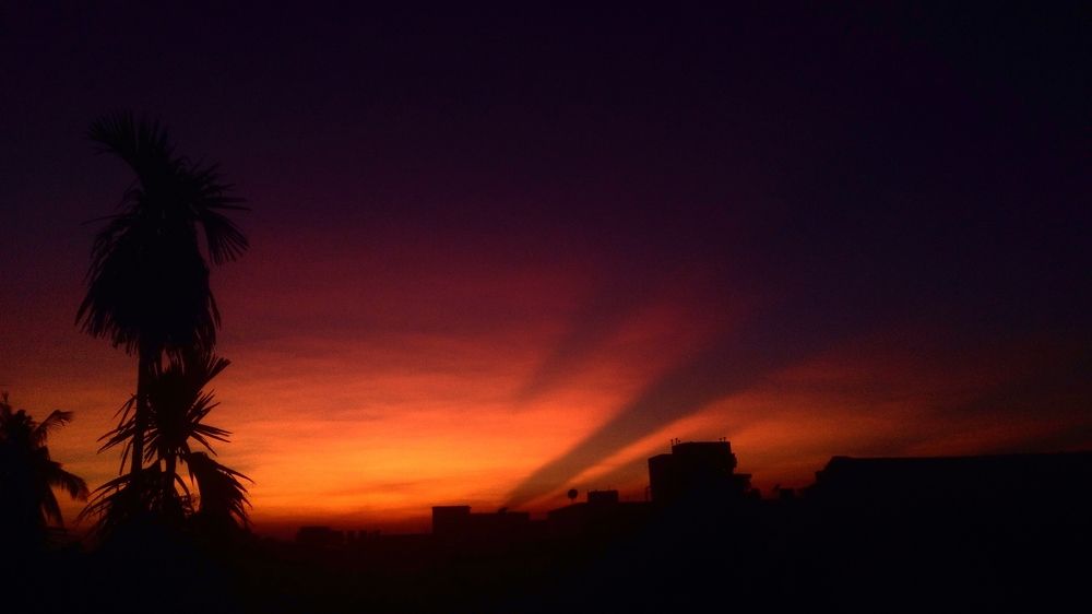 Photograph by Sanchari Nag