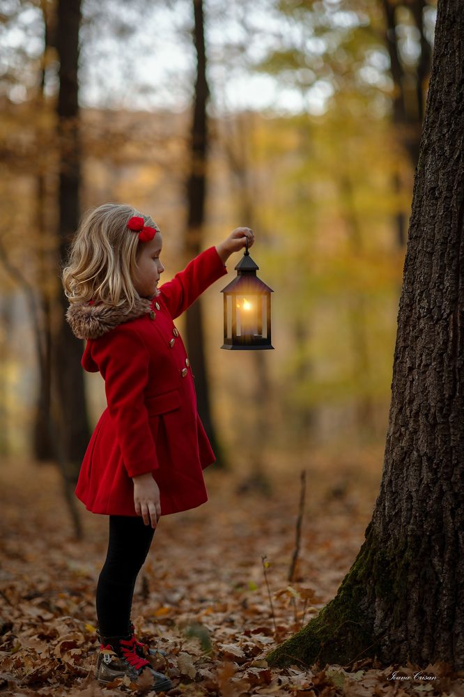 Фотография автора Ioana Crisan