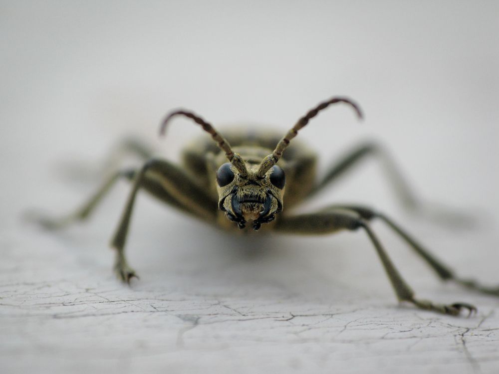 Photograph by Юлия Микульская