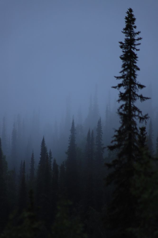 Photograph by Марина