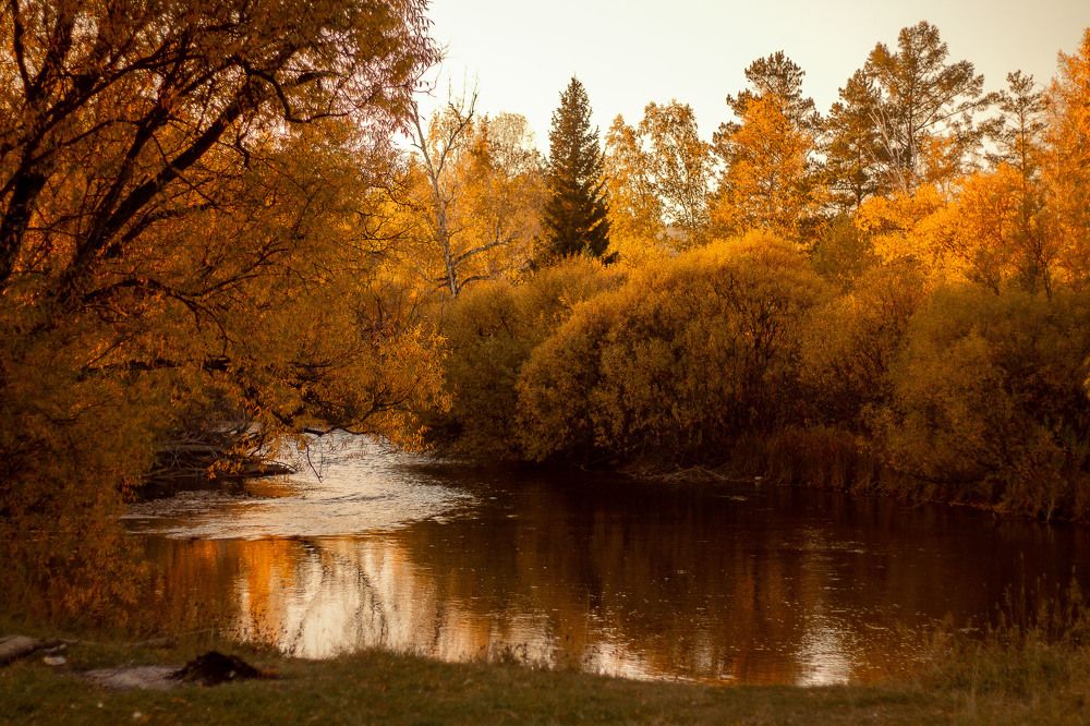 Photograph by Елена Рудь