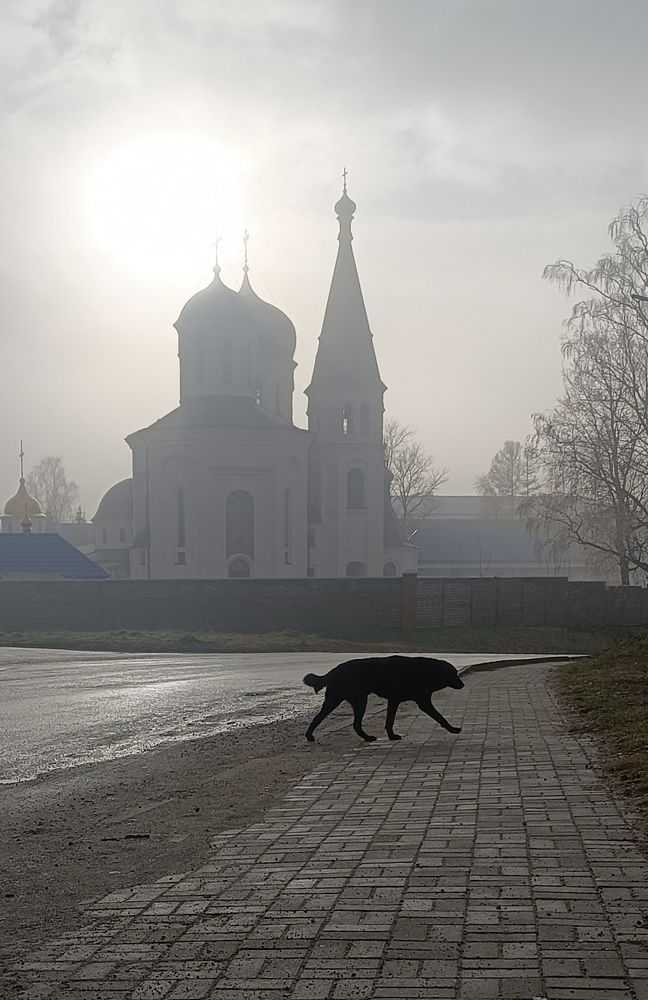 Photo #8280859