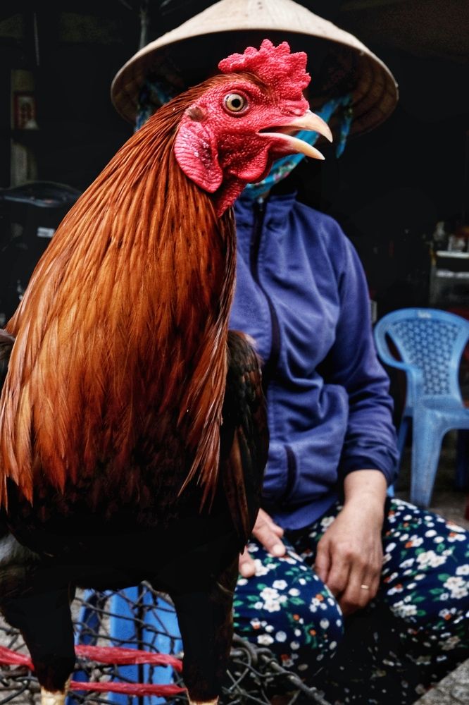 Photograph by Gil Kreslavsky