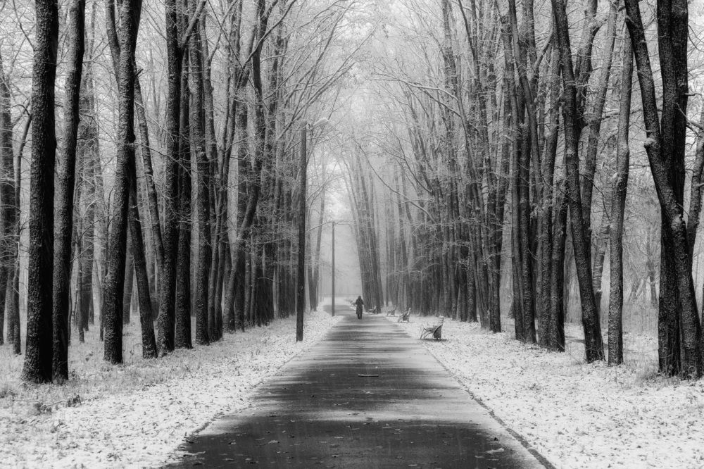 Photograph by Юлия Морозова