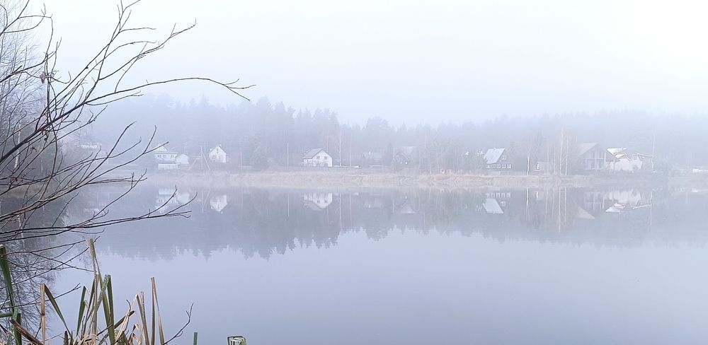 Photo #8280869