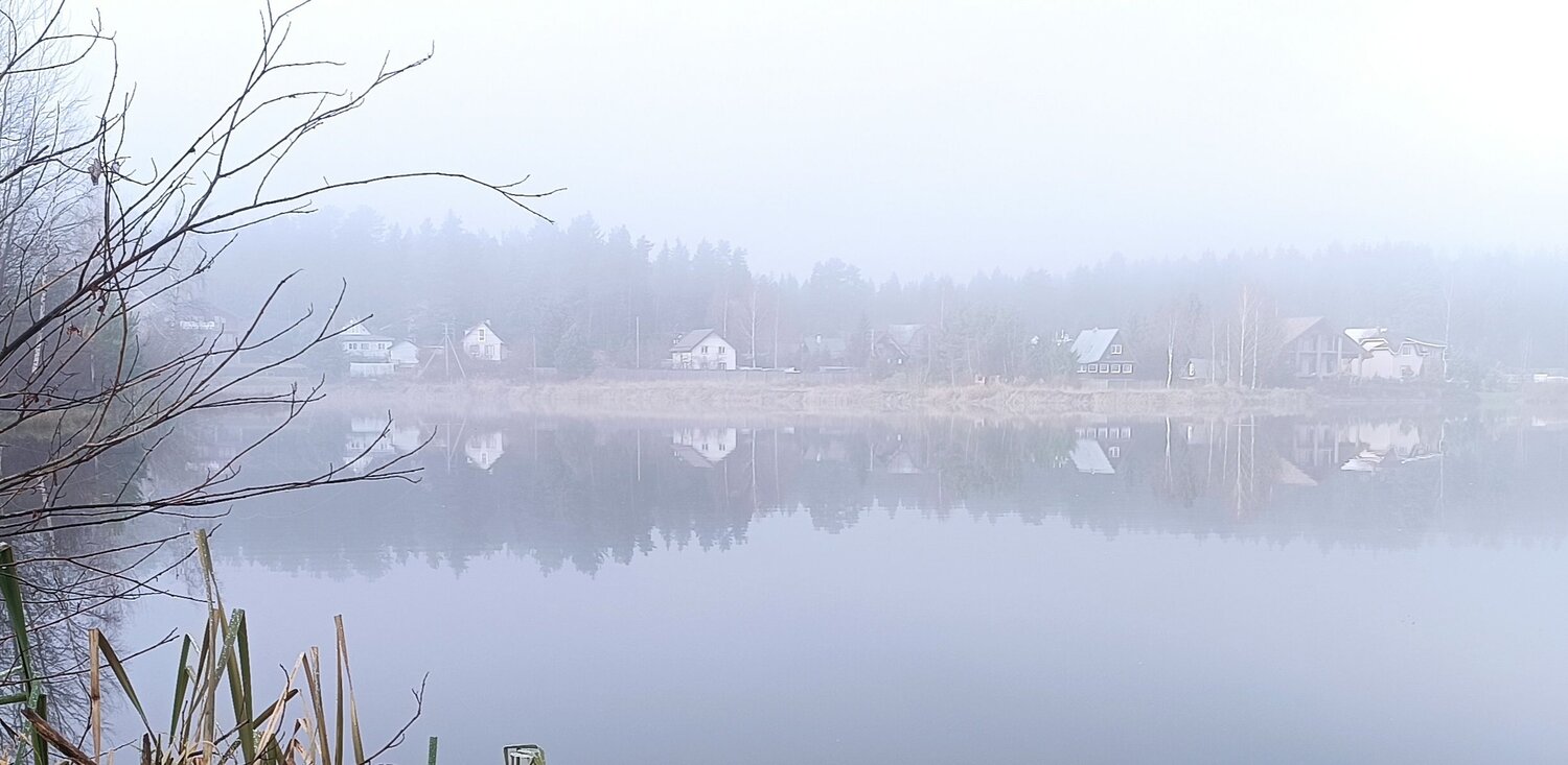 Photo #8280869