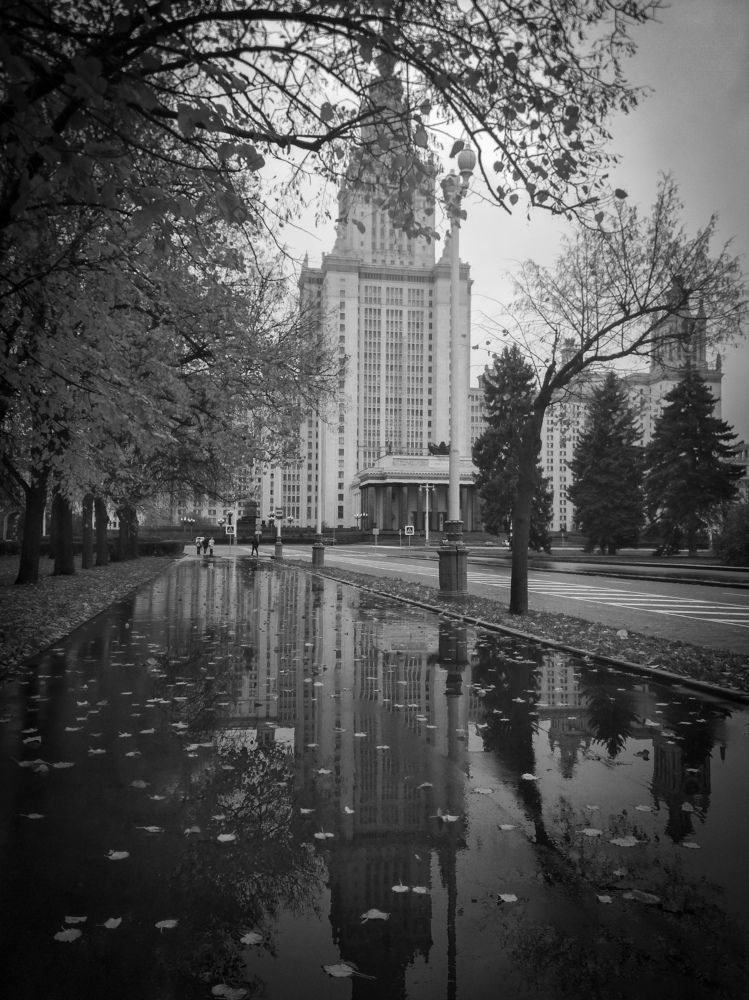 Photograph by Елена Щитова