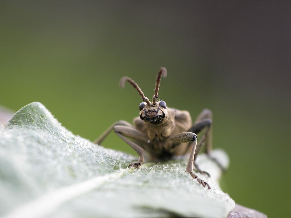 Photograph by Юлия Микульская
