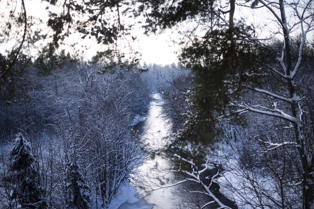 Photograph by Виталий Адуцкевич