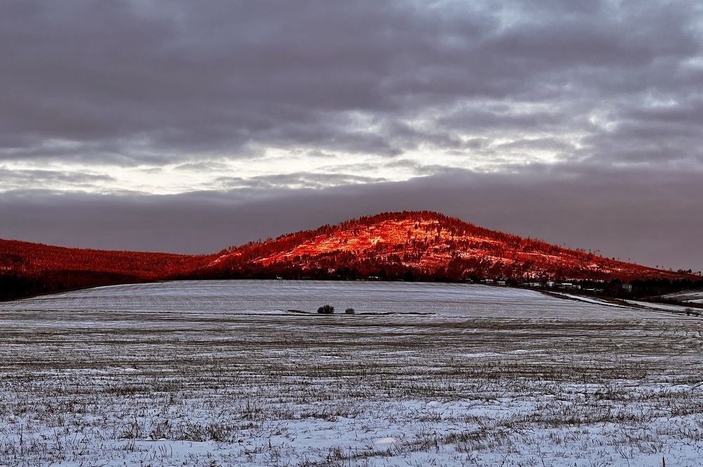 Photograph by Елена Мизина