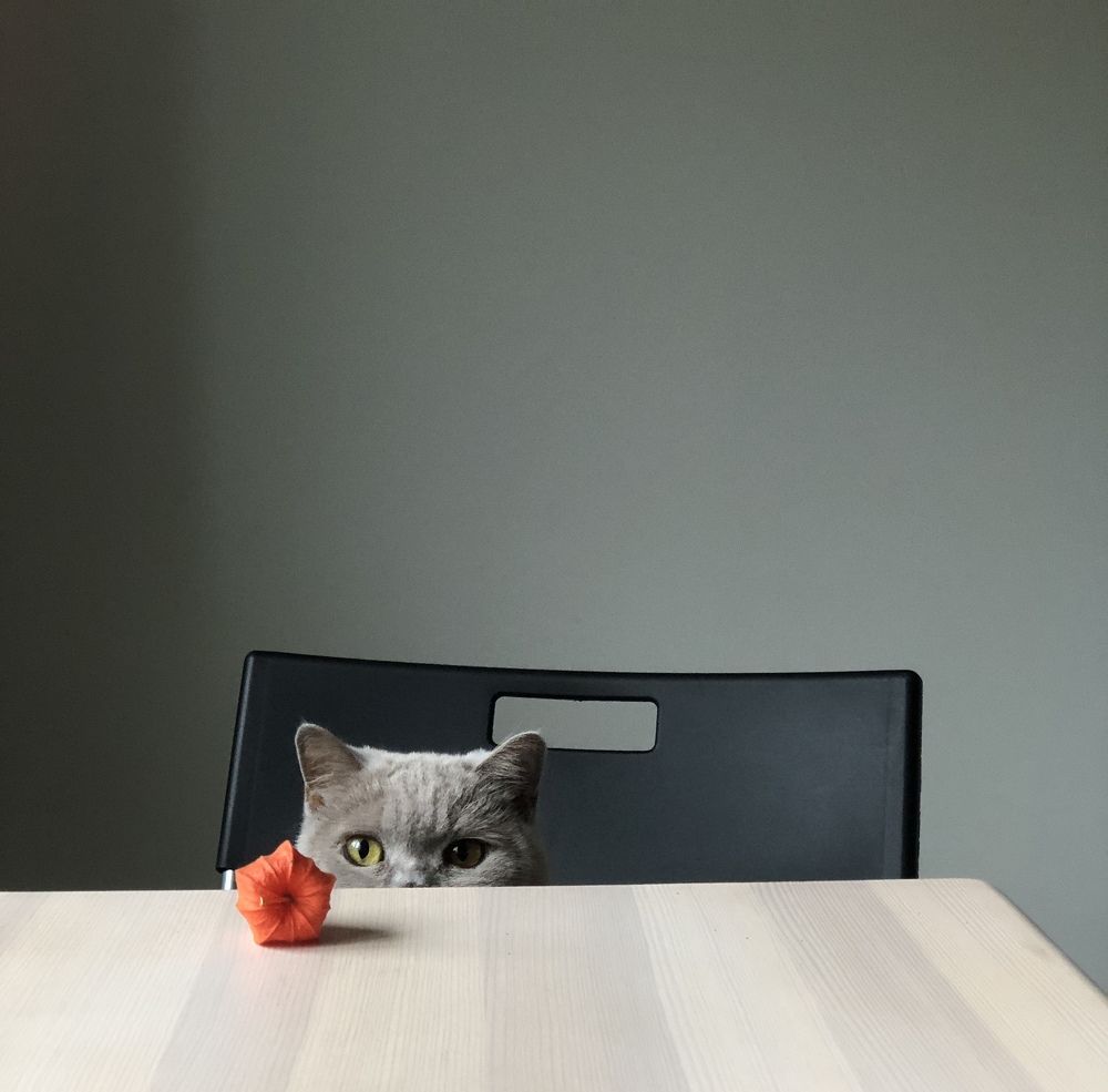 Photograph by Евгений Шуст