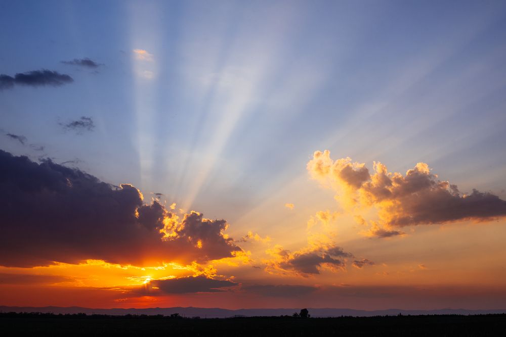 Photograph by Сергеева Марина