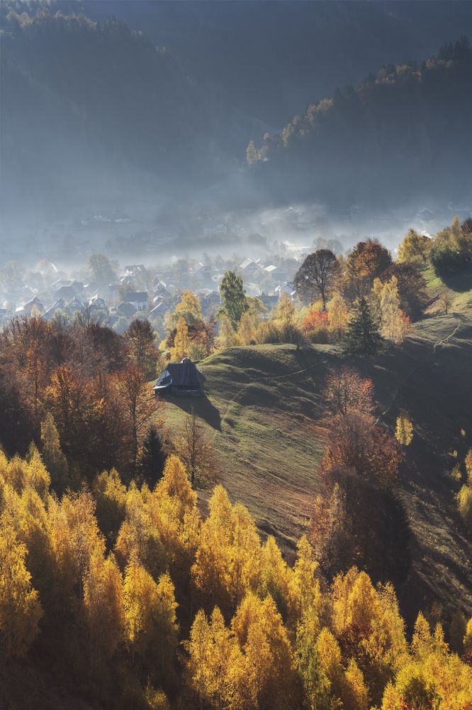 Photograph by Gabriela Vochescu