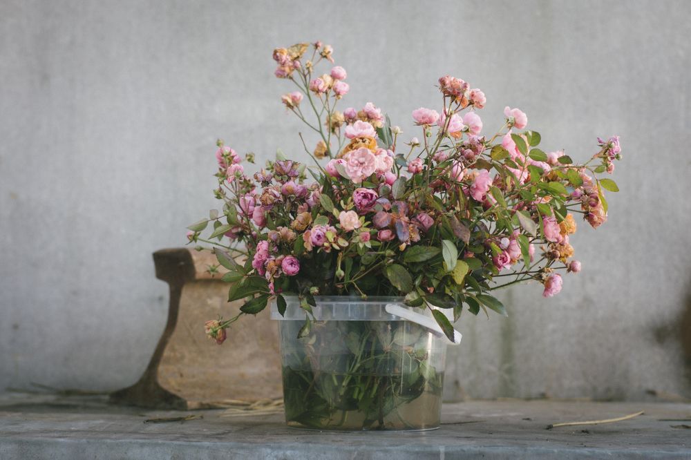 Photograph by Julius Stremsky