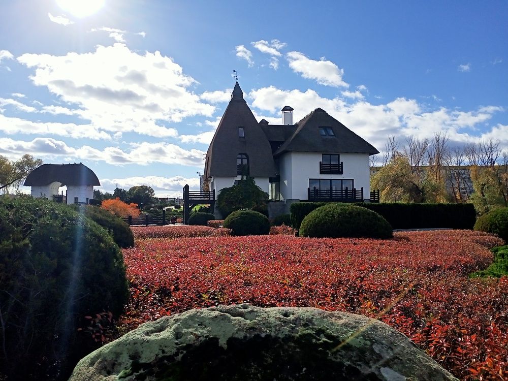 Photograph by Адамян Анна