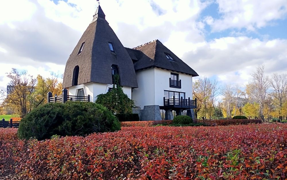 Photograph by Адамян Анна