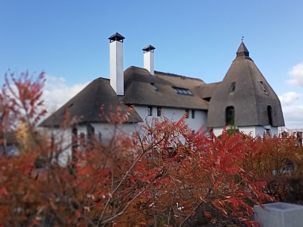 Photograph by Адамян Анна