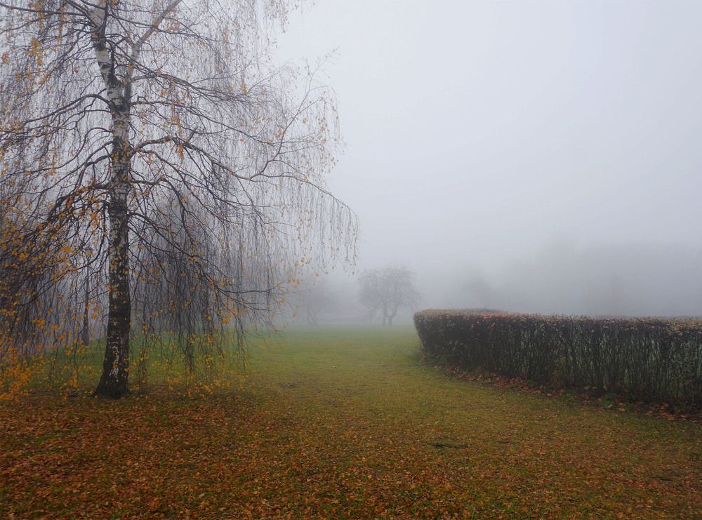 Осень в тумане ...