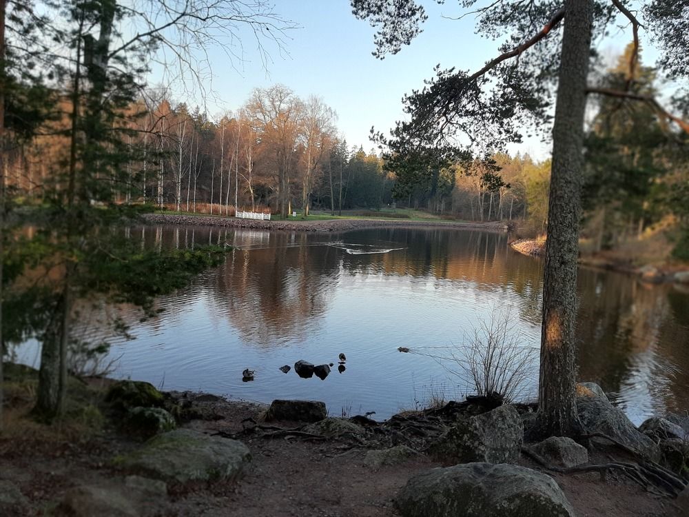Photograph by Табачкова Татьяна