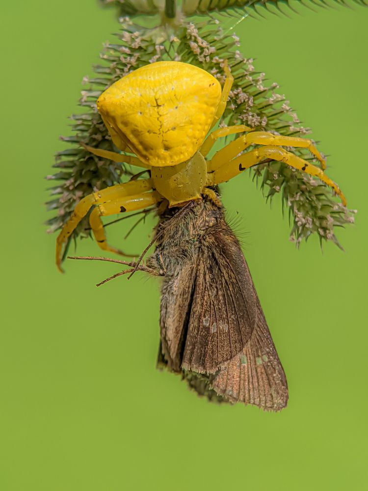 Photograph by md Jabbar