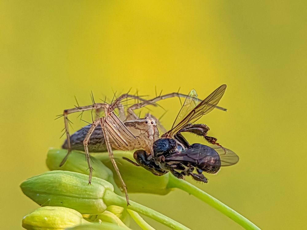 Photograph by md Jabbar