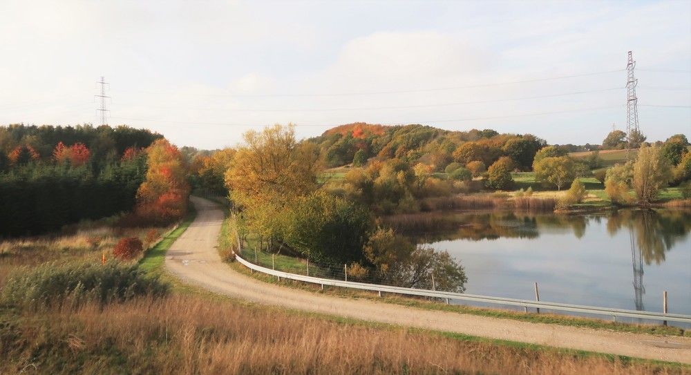 Photograph by Любовь