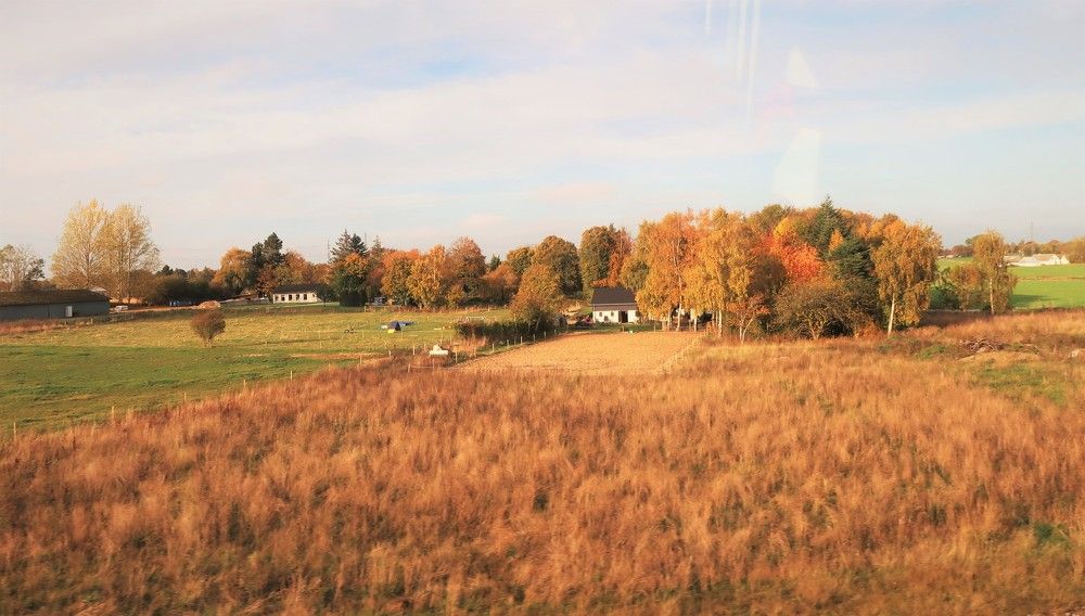 Photograph by Любовь