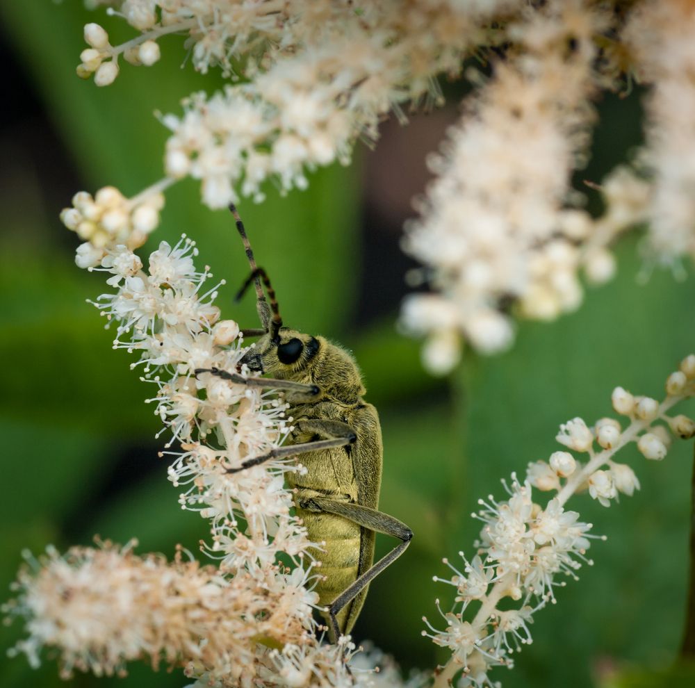Photograph by Николай Захаров