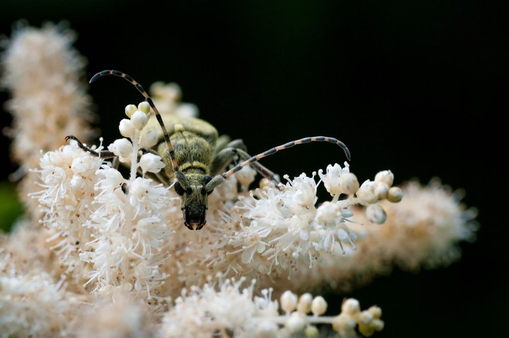 Photograph by Николай Захаров