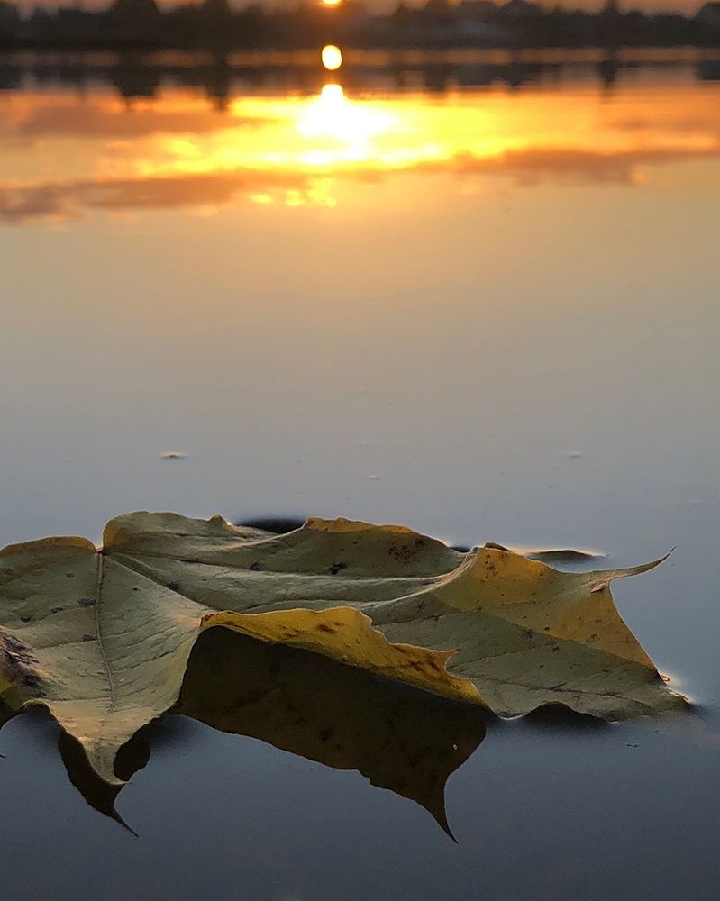 Photograph by Halina Mitsevich